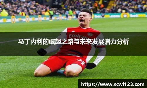 马丁内利的崛起之路与未来发展潜力分析